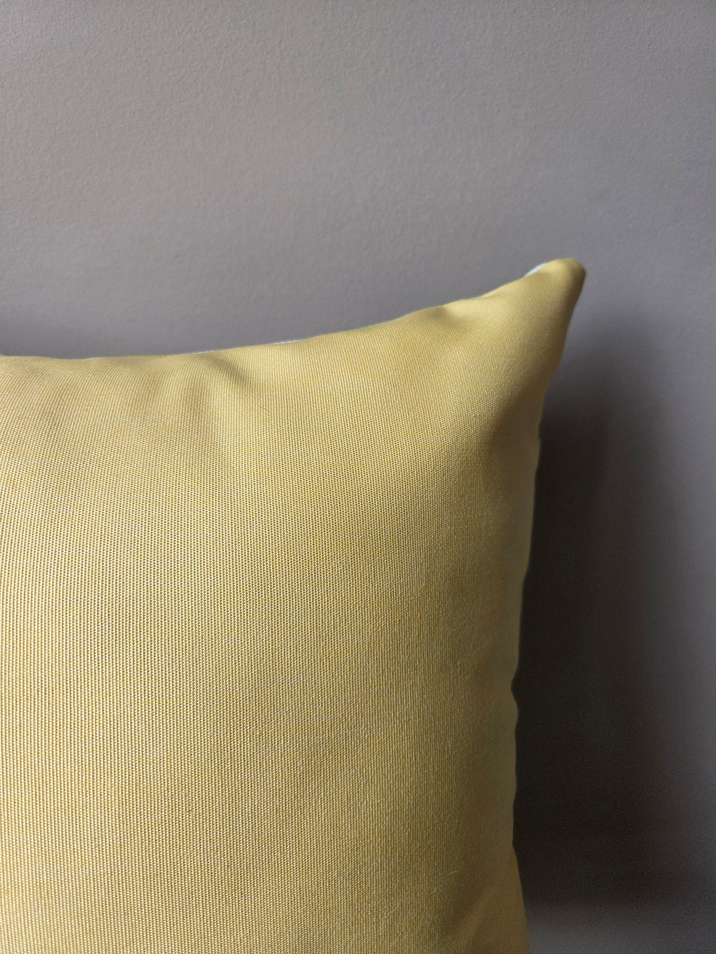 Accent Golden Meadow